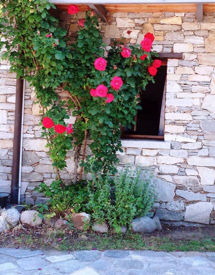 Вилла Casa Cicala Trarego Экстерьер фото